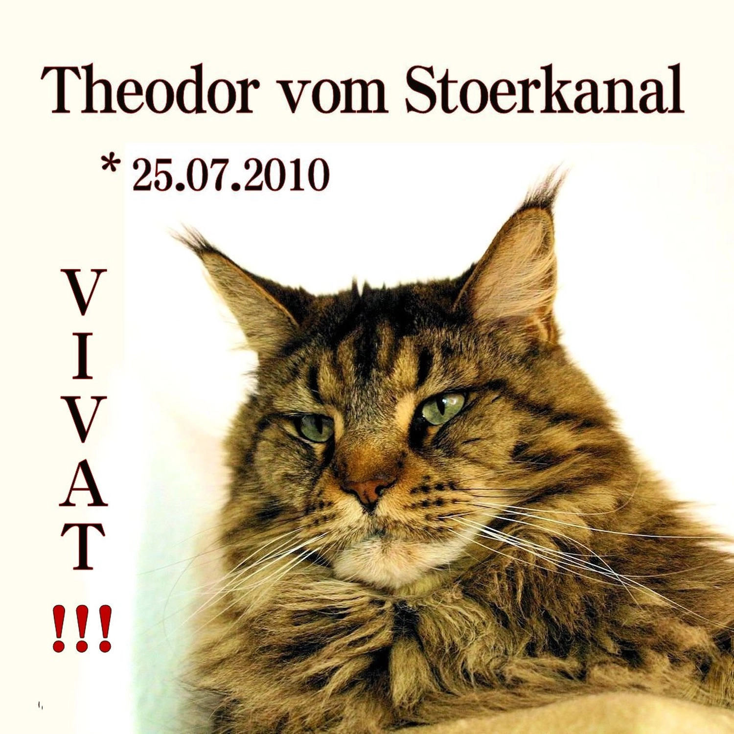 Jörg Ulrich Helgert - Lyriker - Theodor vom Stoerkanal